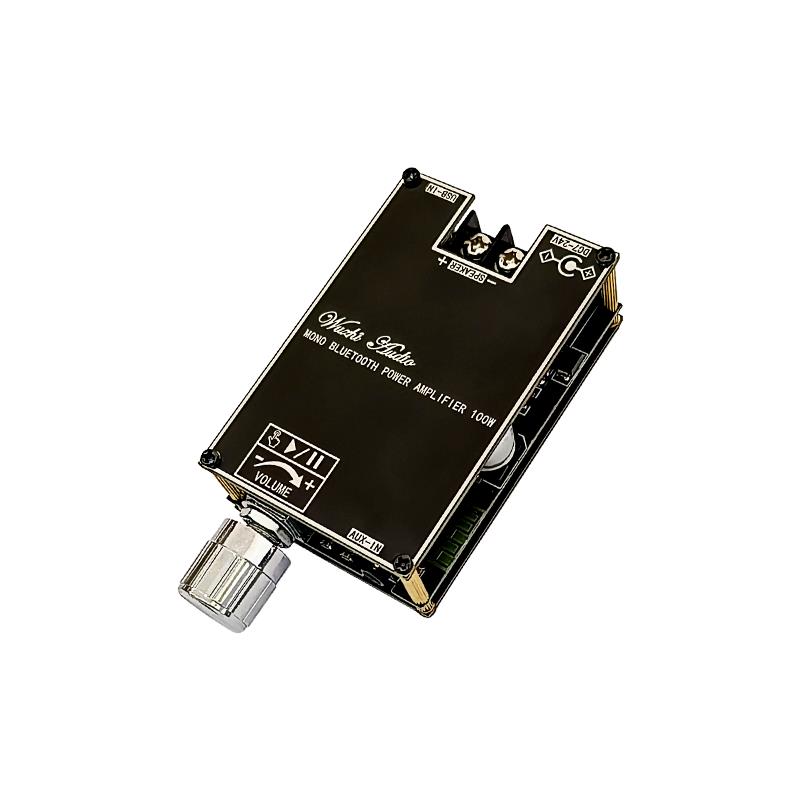 Bluetooth 5.1 TPA3116 D2 Mono  - Home Cinema Bluetooth ulasan dan harga